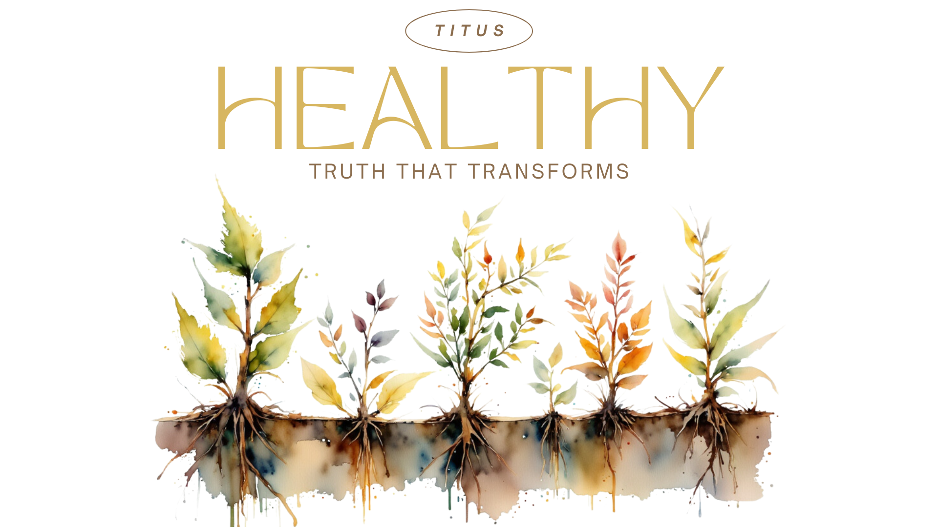 Titus Sermon Series Artwork -