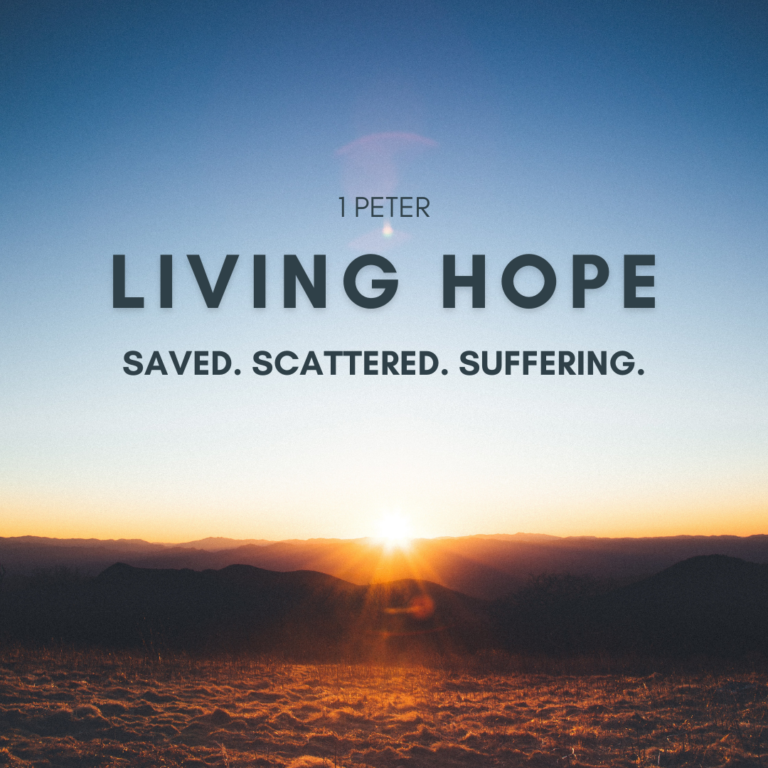 Living Hope - Episode 10